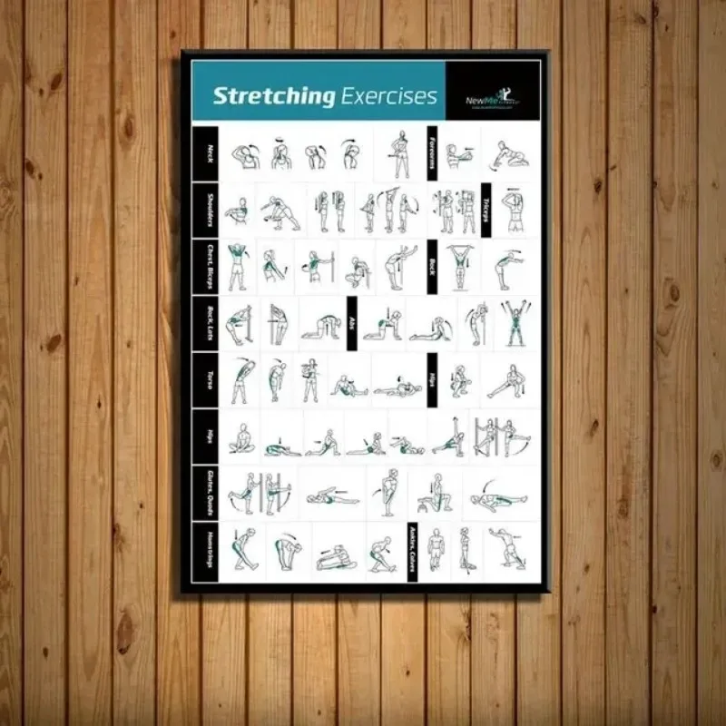 Body Exercise Training Chart G - Badminton Poster 评论和价格