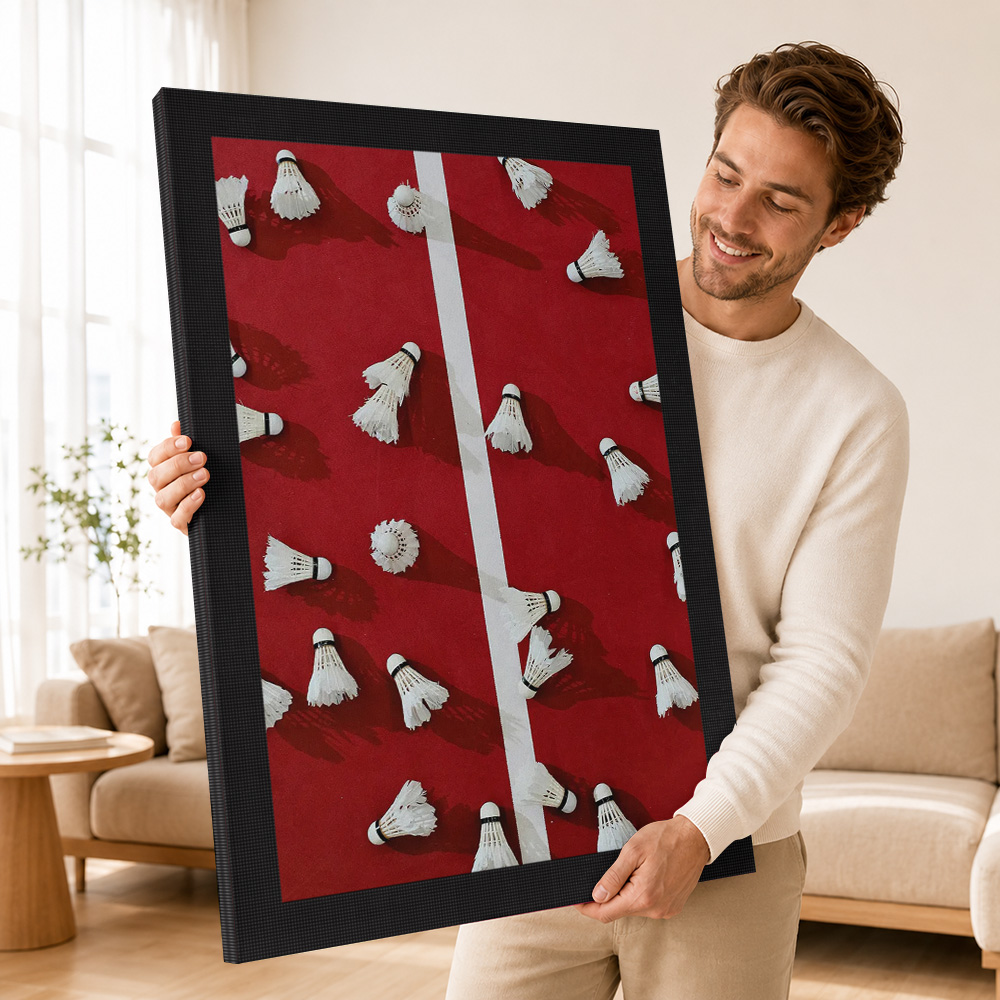 Badminton Shuttlecocks Framed  - Badminton Photo 评论和价格