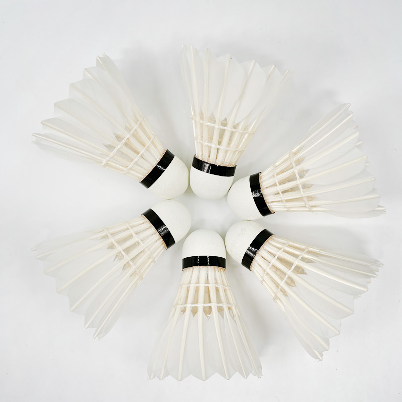 G8 Goose Feather Traditional B - Badminton Championship 评论和价格