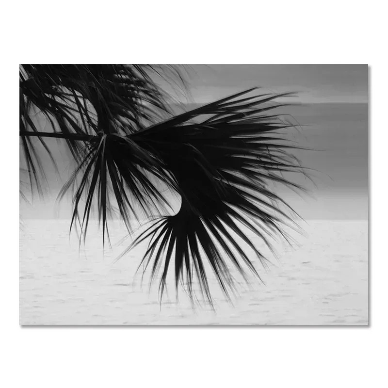 (1pc frameless)Beach Camper Va - Badminton Poster 评论和价格